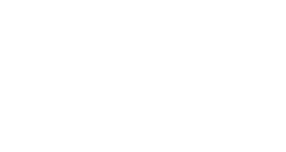 無駄のないフォルム、しなやかなラインは人々を魅了する